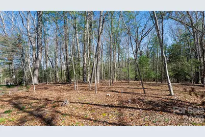 12 Stuyvesant Crescent, Asheville, NC 28803 - Photo 44