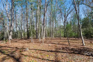 12 Stuyvesant Crescent, Asheville, NC 28803 - Photo 44