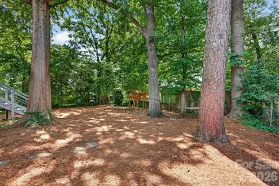 3425 Airlie Street, Charlotte, NC 28205 - Photo 34