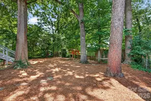 3425 Airlie St, Charlotte, NC 28205 - Photo 34