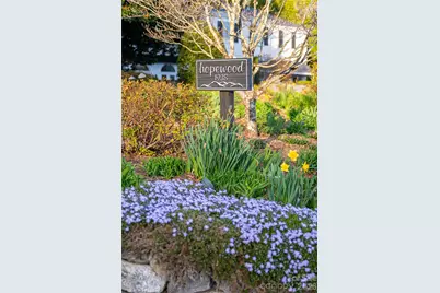 365 Sherwood Drive S, Flat Rock, NC 28731 - Photo 30