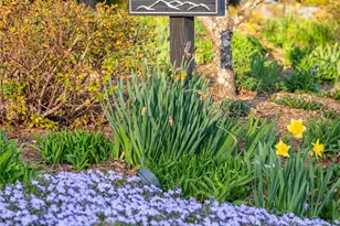 365 Sherwood Dr S, Flat Rock, NC 28731 - Photo 30