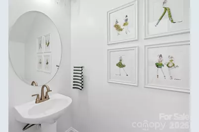 220 Mills Lane, Fort Mill, SC 29708 - Photo 20