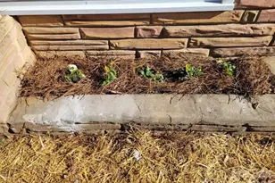 1116 East Dr, Gastonia, NC 28052 - Photo 2