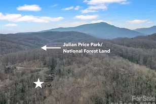 637 Ontario Ridge, Boone, NC 28607 - Photo 42