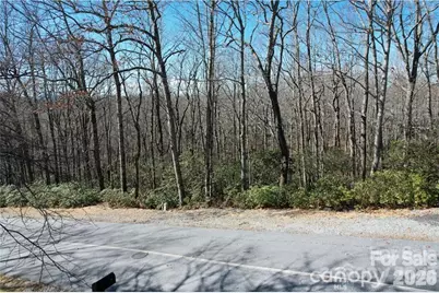 U19 L053 Gawanv Court, Brevard, NC 28712 - Photo 4