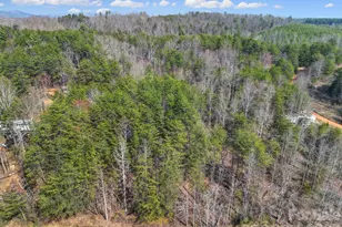 236 Dirty Ankle Rd, Lawndale, NC 28090 - Photo 1
