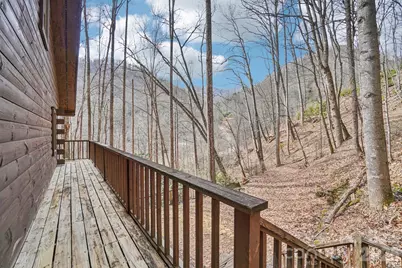 307 Roaring Creek Lane, Waynesville, NC 28786 - Photo 28