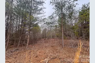 00 Baugess Mill Road, Traphill, NC 28685 - Photo 14