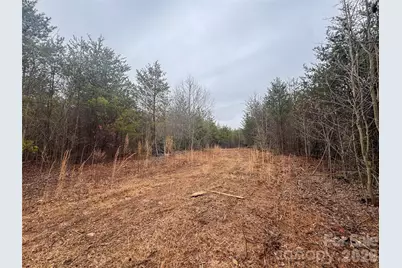 00 Baugess Mill Road, Traphill, NC 28685 - Photo 20