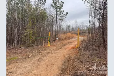 00 Baugess Mill Road, Traphill, NC 28685 - Photo 4