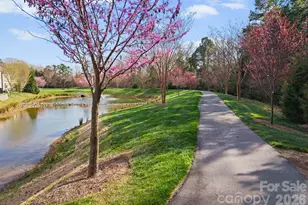 1230 Restoration Dr, Waxhaw, NC 28173 - Photo 30