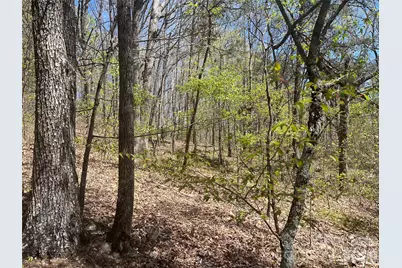 0 Pilgrim Church Road, Hiddenite, NC 28636 - Photo 4