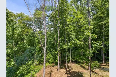 288 Ironwood Drive, Clyde, NC 28721 - Photo 10