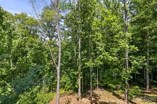 288 Ironwood Dr, Clyde, NC 28721 - Photo 10