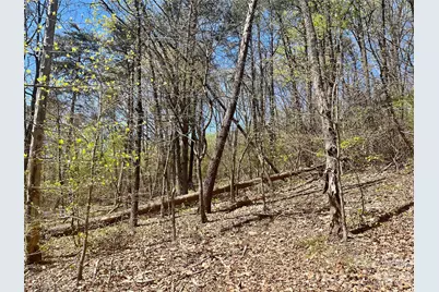 0000 Pilgrim Church Road, Hiddenite, NC 28636 - Photo 1