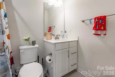 924 Broad River Lane, Charlotte, NC 28211 - Photo 18