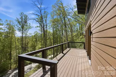 102 Sandpiper Palisades Street, Hendersonville, NC 28792 - Photo 44