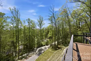102 Sandpiper Palisades St, Hendersonville, NC 28792 - Photo 46