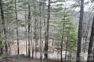 1299 Country Club Dr, Canton, NC 28716 - Photo 10