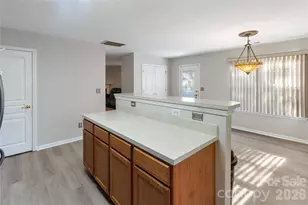 317 Ashton Bluff Cir, Mount Holly, NC 28120 - Photo 8