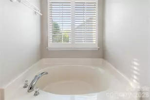 317 Ashton Bluff Cir, Mount Holly, NC 28120 - Photo 18