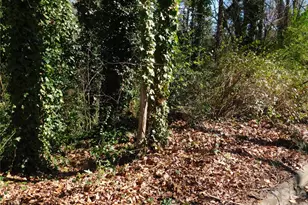 000 Todd Dr NE, Concord, NC 28025 - Photo 4