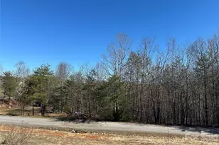 65 Skyview Ridge Dr, Marion, NC 28752 - Photo 36