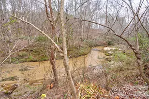 845 Long Branch Rd, Grover, NC 28073 - Photo 44