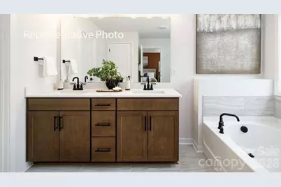 3117 Spring Iris Drive, Denver, NC 28037 - Photo 8