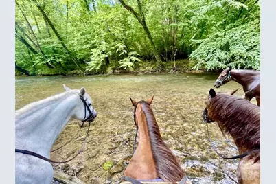 1416 High Valley Way, Lenoir, NC 28645 - Photo 42