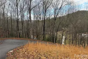 233 Lyday Creek Rd, Pisgah Forest, NC 28768 - Photo 2