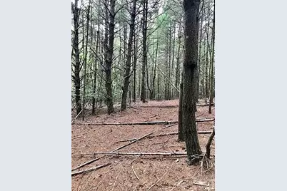 1388 Old Dry Creek Road, Morganton, NC 28655 - Photo 6