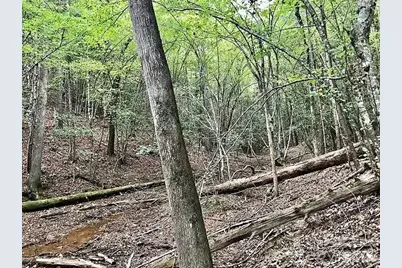 1388 Old Dry Creek Road, Morganton, NC 28655 - Photo 14