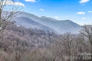 328 Mountain Lion Trl, Maggie Valley, NC 28751 - Photo 4