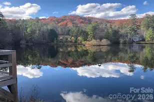 119 Cambridge Dr, Brevard, NC 28712 - Photo 46