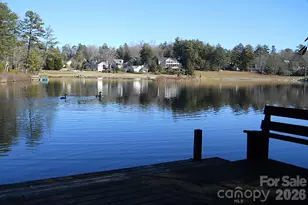 119 Cambridge Dr, Brevard, NC 28712 - Photo 44