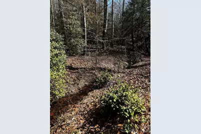 1685 Old Caroleen Road, Forest City, NC 28043 - Photo 32