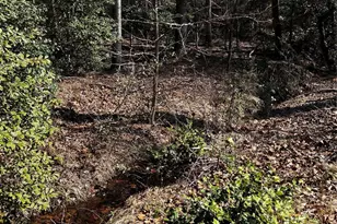 1685 Old Caroleen Rd, Forest City, NC 28043 - Photo 32