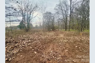 1.3 Ac Lot #3891 Wilkesboro Highway, Statesville, NC 28625 - Photo 6