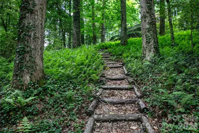 168 River Ridge Road, Brevard, NC 28712 - Photo 46