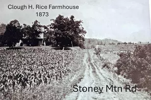 219 Stoney Mountain Rd, Hendersonville, NC 28791 - Photo 42