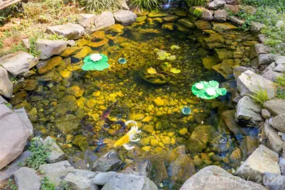 3928 Langhorne Avenue, Charlotte, NC 28205 - Photo 48