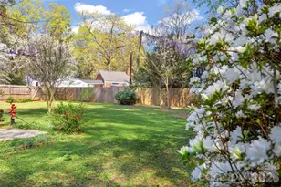 3928 Langhorne Ave, Charlotte, NC 28205 - Photo 46