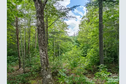 5.5 Acres Dogwood Way #840a, Lenoir, NC 28645 - Photo 14