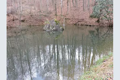 191 Bens Bend, Bakersville, NC 28705 - Photo 10