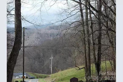 191 Bens Bend, Bakersville, NC 28705 - Photo 24