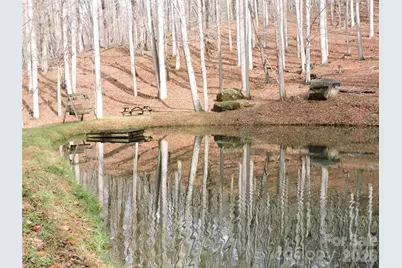 191 Bens Bend, Bakersville, NC 28705 - Photo 12