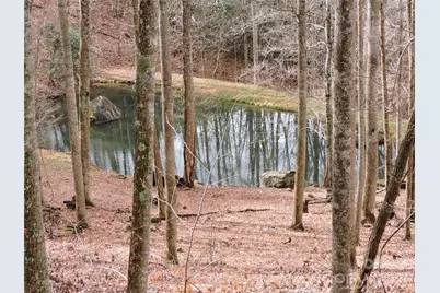 191 Bens Bend, Bakersville, NC 28705 - Photo 8