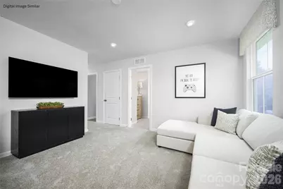 413 Laney Farms Drive, Pageland, SC 29728 - Photo 4